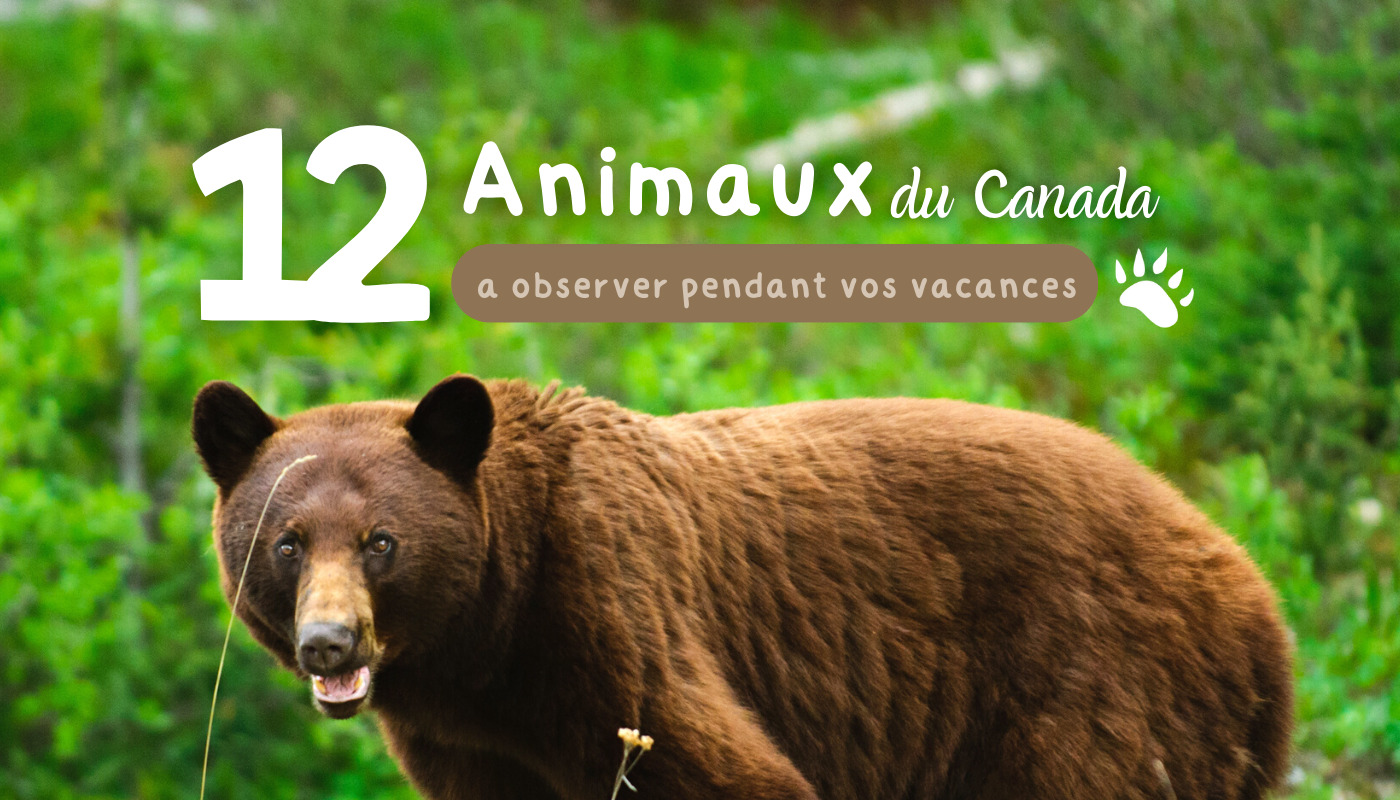 15 animaux sans poils à peine reconnaissables