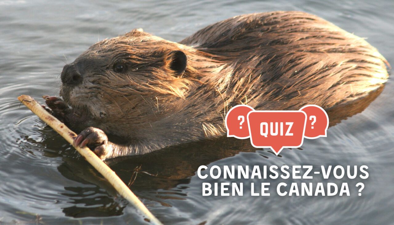 Quizz sur le Canada