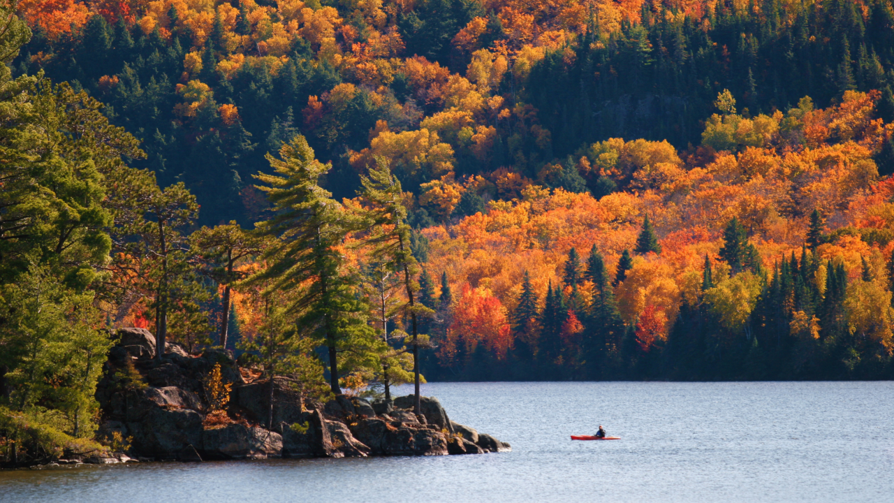 RÉGION ONTARIO - Parc