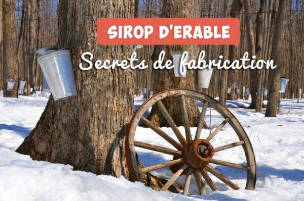 Sirop d'érable : secrets de fabrication