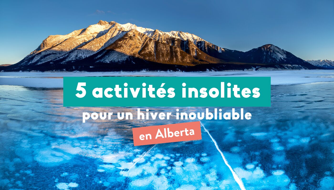 5 activités insolites pour un hiver inoubliable en Alberta